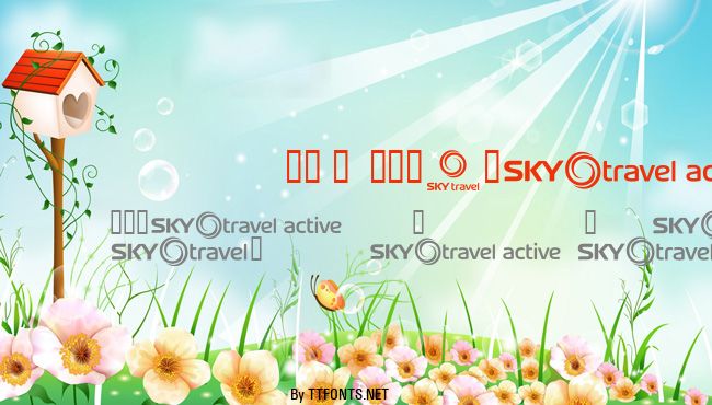 SKYfonttravel example