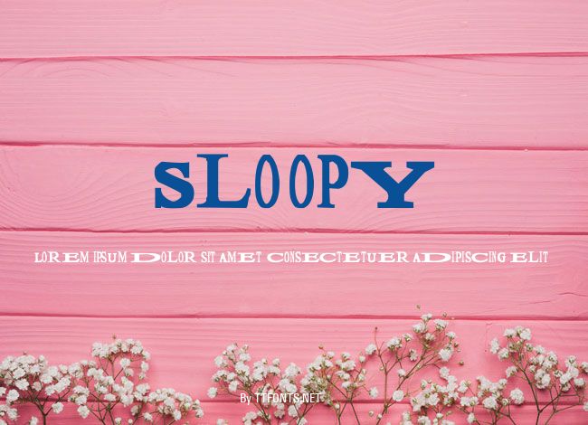 Sloopy example