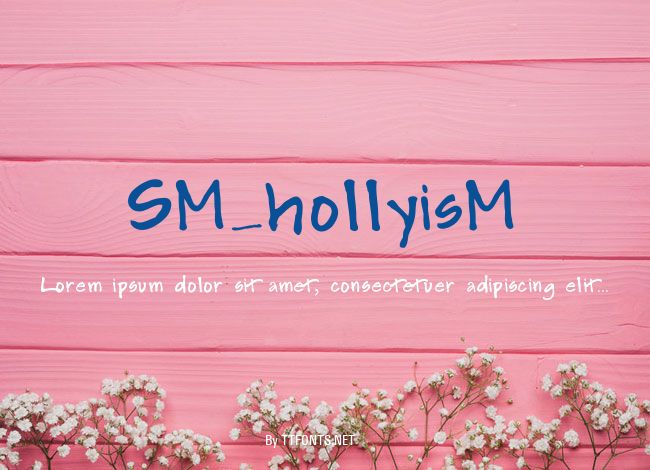 SM_hollyisM example