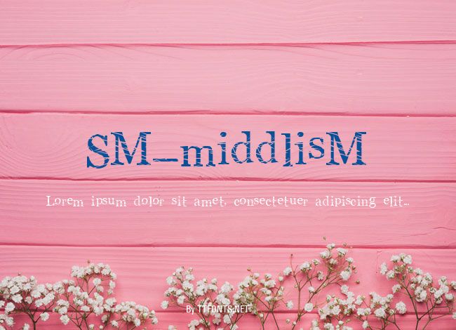 SM_middlisM example
