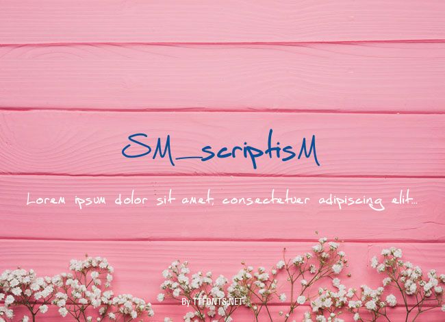 SM_scriptisM example
