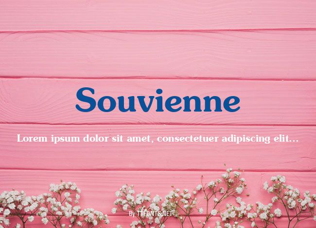 Souvienne example