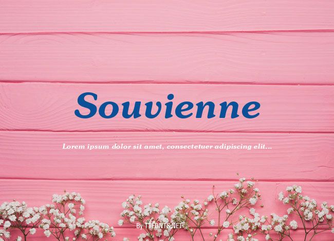 Souvienne example