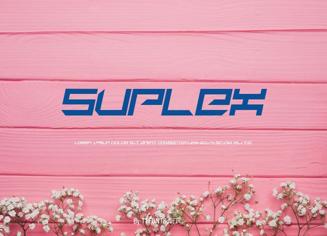 suplex example