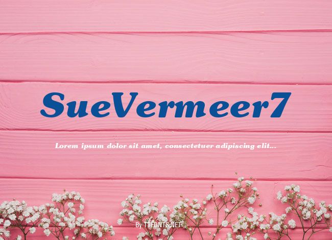 SueVermeer7 example