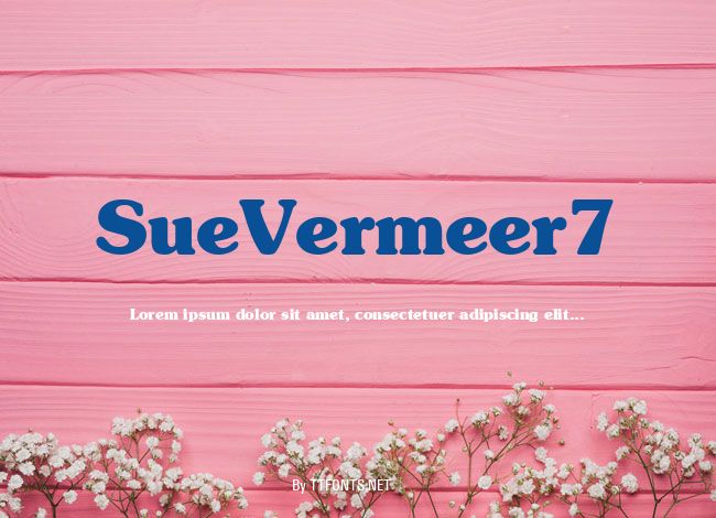 SueVermeer7 example