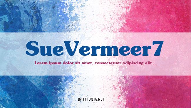 SueVermeer7 example