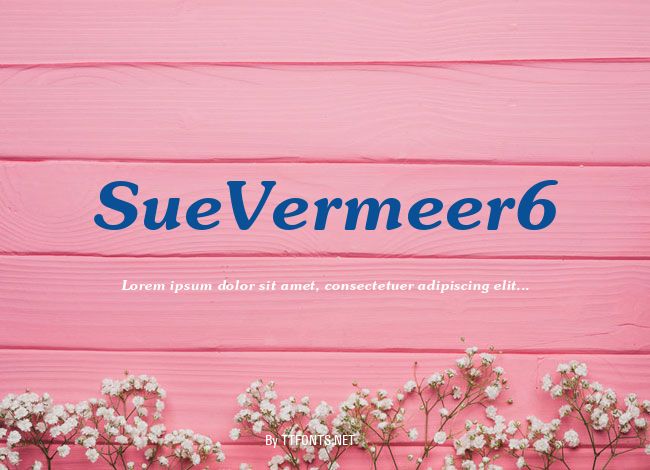 SueVermeer6 example