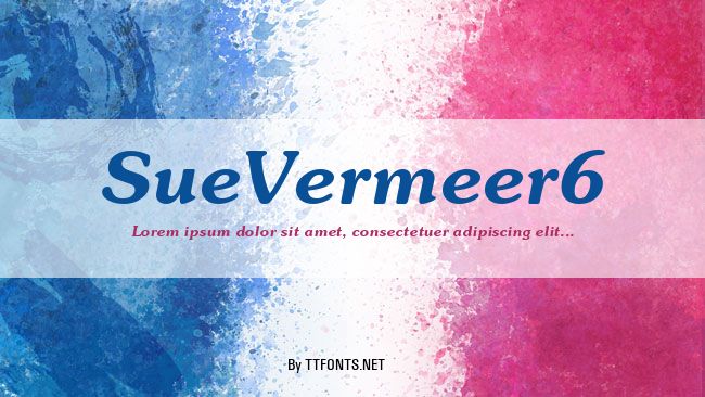 SueVermeer6 example