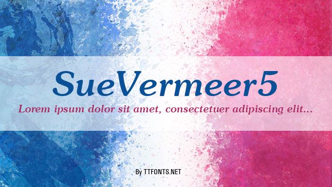 SueVermeer5 example