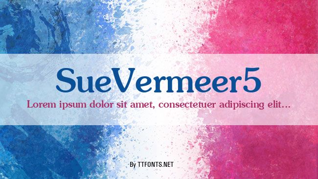 SueVermeer5 example