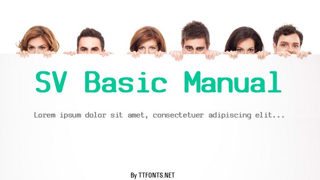 SV Basic Manual example