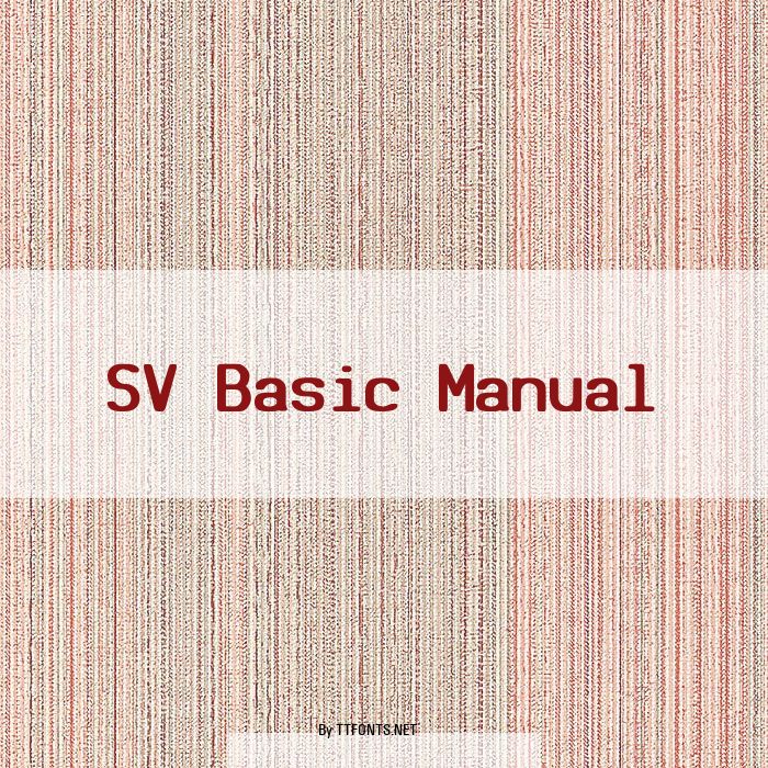 SV Basic Manual example