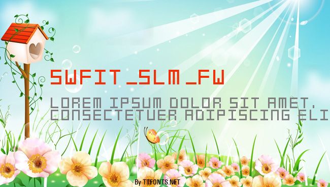 swfit_slm_fw example