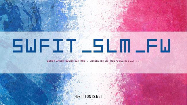 swfit_slm_fw example