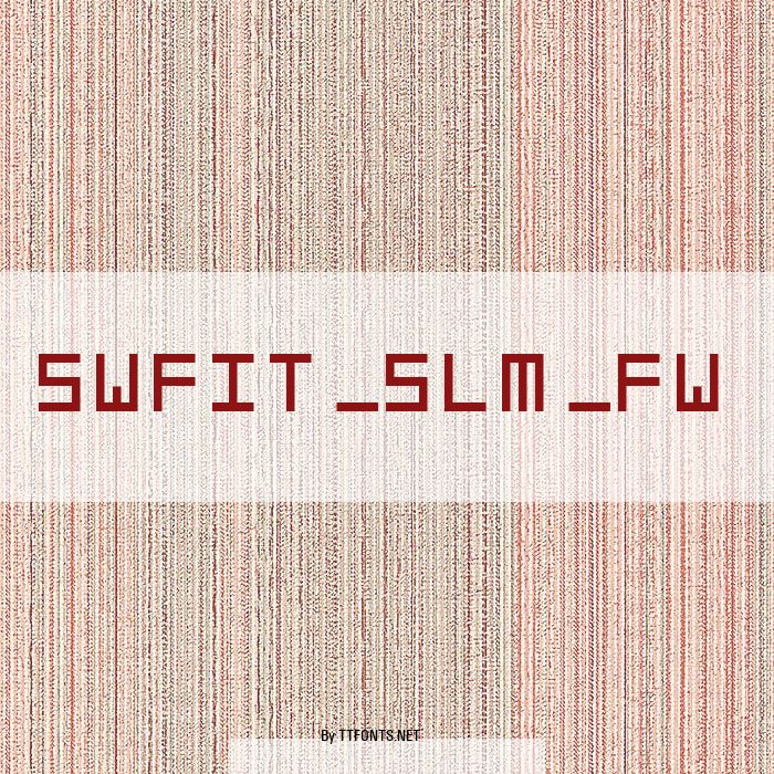 swfit_slm_fw example