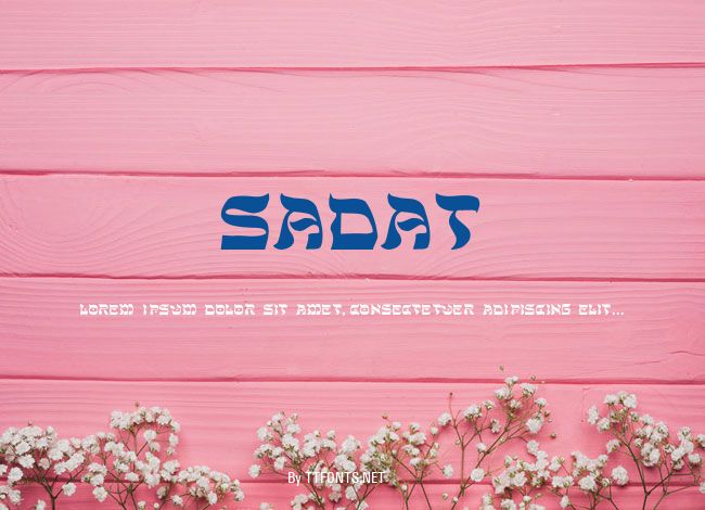 Sadat example