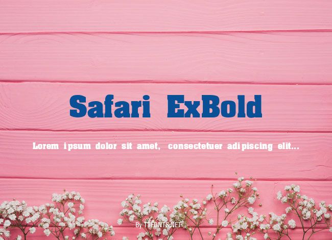 Safari ExBold example