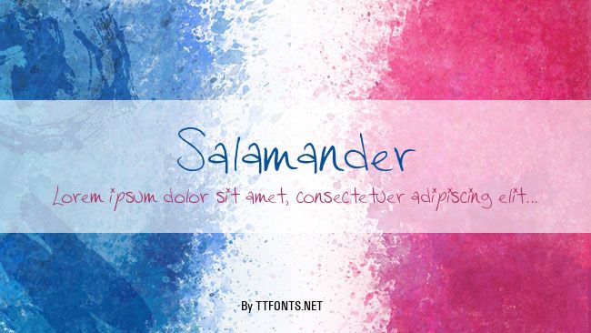 Salamander example