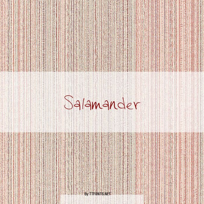Salamander example