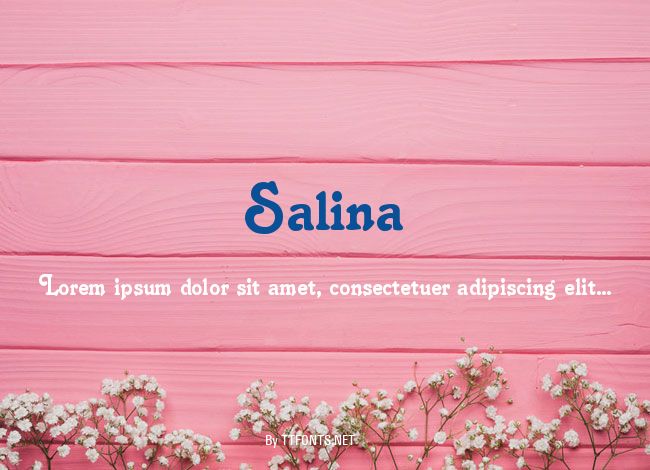 Salina example