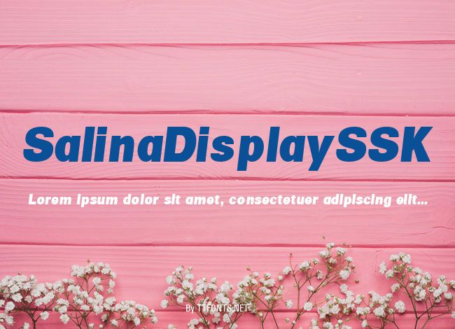 SalinaDisplaySSK example