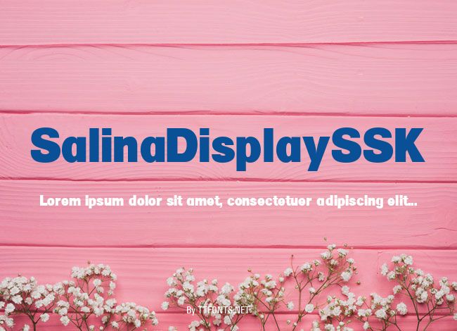 SalinaDisplaySSK example