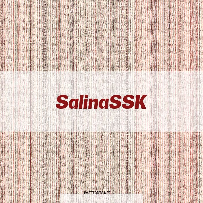 SalinaSSK example
