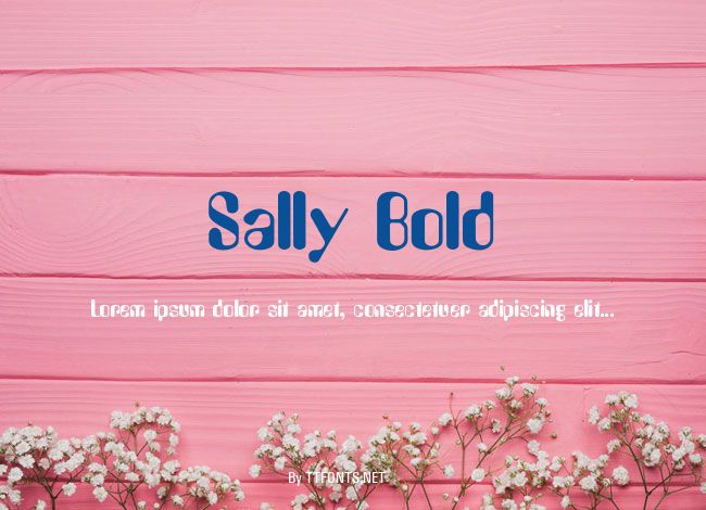 Sally Bold example