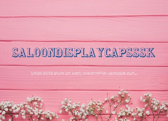 SaloonDisplayCapsSSK example