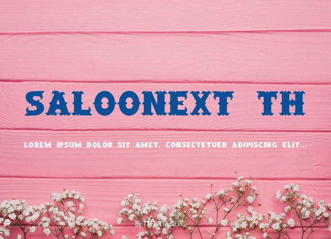 SaloonExt Th example
