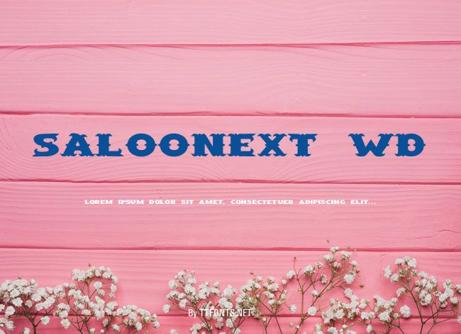 SaloonExt Wd example