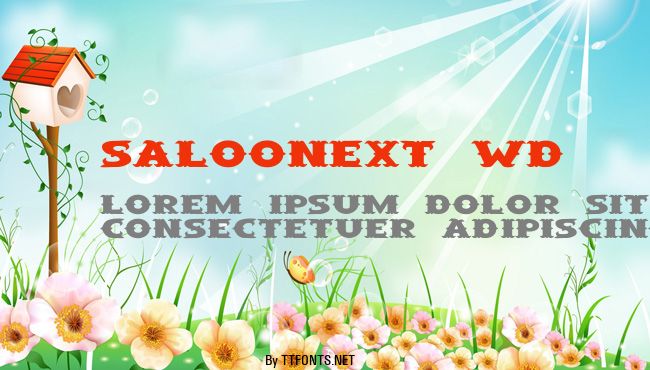 SaloonExt Wd example