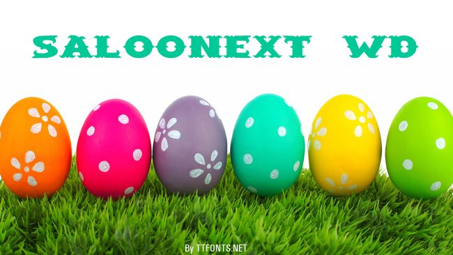 SaloonExt Wd example
