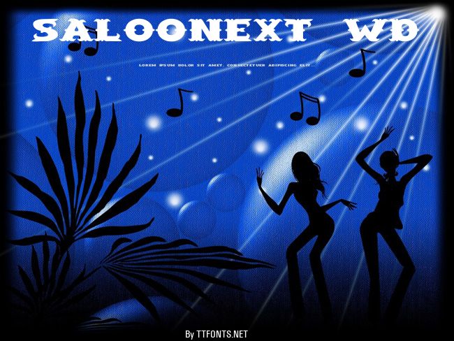 SaloonExt Wd example