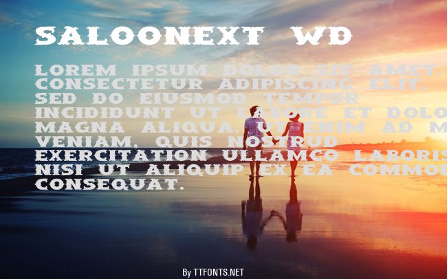 SaloonExt Wd example