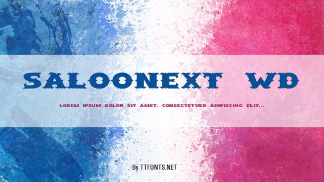 SaloonExt Wd example