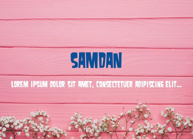 Samdan example