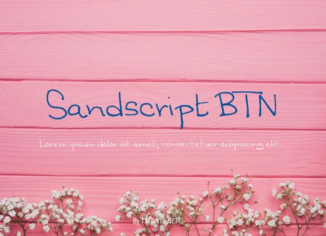 Sandscript BTN example