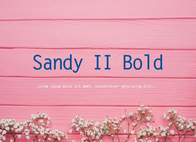 Sandy II Bold example