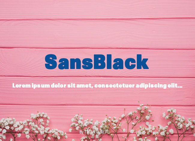 SansBlack example