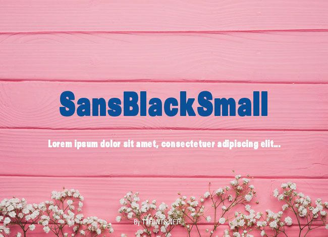 SansBlackSmall example