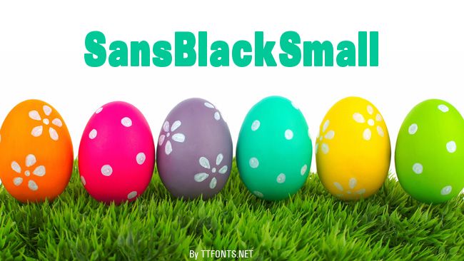 SansBlackSmall example