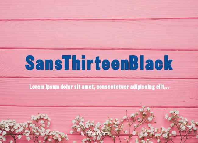 SansThirteenBlack example