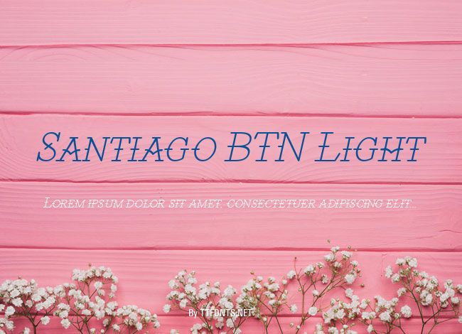 Santiago BTN Light example