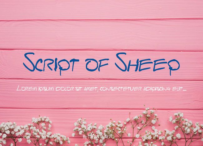 Script of Sheep example