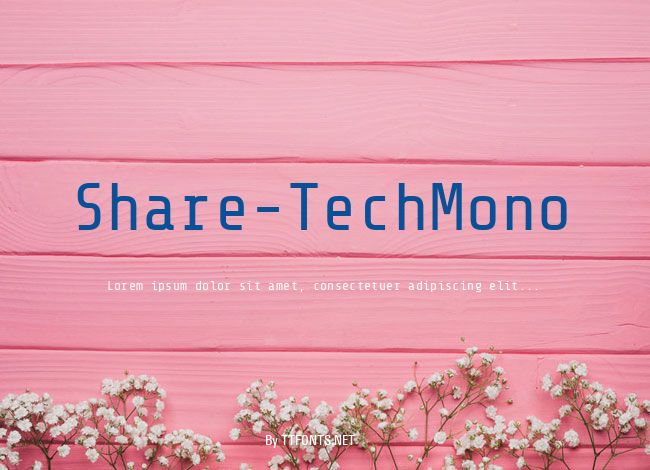 Share-TechMono example