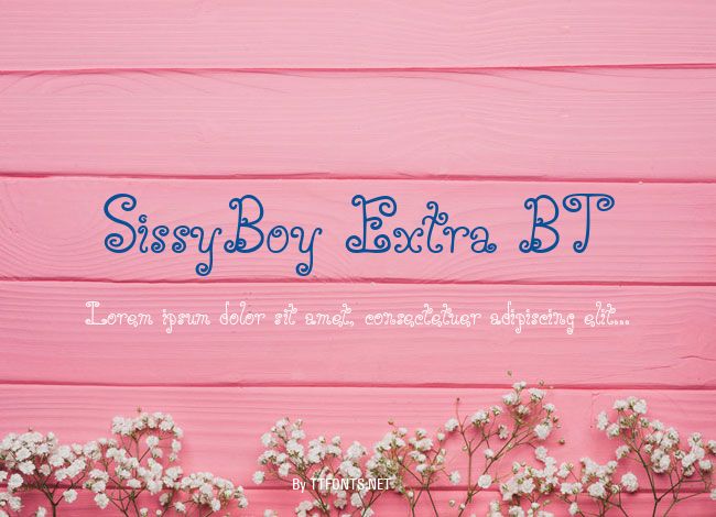 SissyBoy Extra BT example