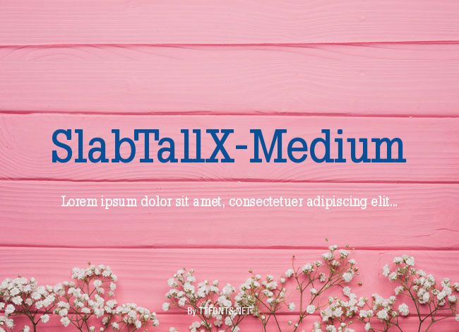 SlabTallX-Medium example