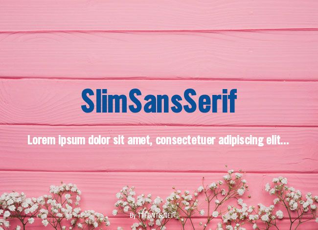 SlimSansSerif example